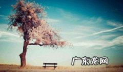 实现理想的根本途径是勇于实践 实现理想的根本途径是