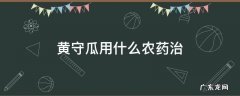 黄守瓜最新防治方法 黄守瓜用什么农药治