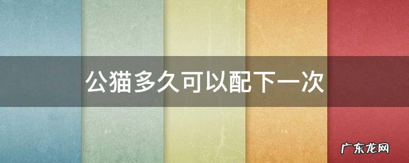 公猫多久可以配下一次 公猫几个月能配一回