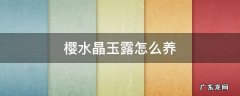 樱水晶玉露怎么养 樱水晶好养吗