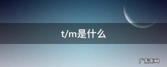 t/m是什么 tm是什么意思