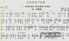 便衣警察主题曲少年壮志不言愁 便衣警察主题曲