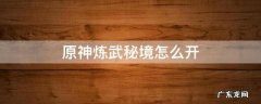 原神炼武秘境开放时间 原神炼武秘境怎么开