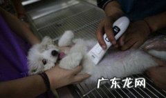 开宠物医院需要什么 开宠物医院需要什么学历