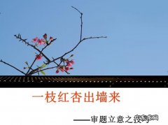一枝红杏出墙来的上一句是什么