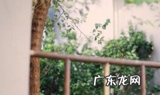 唐朝姓杜的名人 姓杜的名人