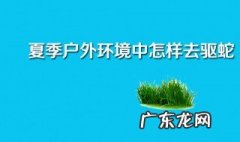 夏季怎样防蛇 夏季如何防蛇进屋