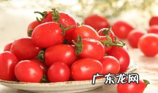 小西红柿品种有哪些 小西红柿品种有哪些名字