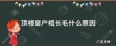 顶楼窗户框长毛什么原因 顶楼窗户长毛怎么处理