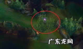lol怎么打野 lol怎么打野才发育得快