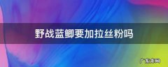 野战蓝鲫需要拉丝粉吗 野战蓝鲫要加拉丝粉吗