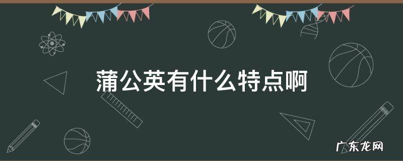 介绍一下蒲公英的特点 蒲公英有什么特点啊