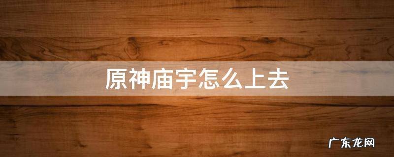 原神庙宇怎么上去 原神庙宇深处怎么上去