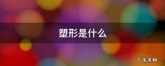芭杆塑形是什么 塑形是什么