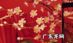 北京的春节习俗