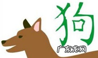 属狗的年份 属猪的年份