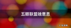 何为五眼联盟? 五眼联盟啥意思