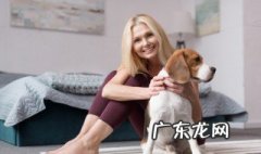 狗粮怎么选才知道好坏? 狗粮怎么选