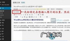wordpress教程 wordpress教程菜鸟教程