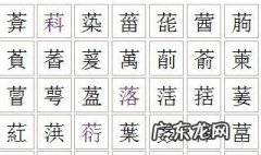 草字头有什么字一年级 草字头有什么字
