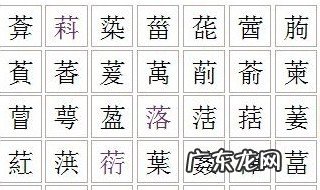 草字头有什么字一年级 草字头有什么字