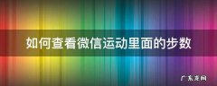 如何查看微信运动里面的步数 怎么在微信上查看运动步数
