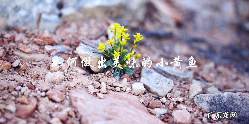 视频教你如何做出美味的小黄鱼