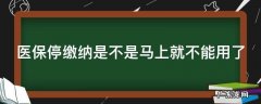 医保停缴纳是不是马上就不能用了 医保停缴费了还能用吗