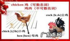 chicken可数吗 作为食物的chicken可数吗