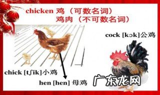 chicken可数吗 作为食物的chicken可数吗