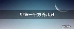 甲鱼一平方养几只 一平方能养几只甲鱼