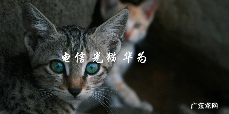 华为光猫在电信行业中的应用和优势是什么？
