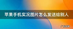 苹果手机实况图片怎么发送给别人手机 苹果手机实况图片怎么发送给别人