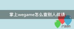 掌上wegame怎么查别人战绩 掌上wegame在哪查别人战绩