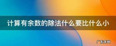 计算有余数的除法什么要比什么小 计算有余数的除法时,什么一定要比什么小