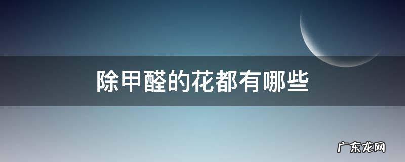 除甲醛的花都有哪些 除甲醛花有哪几种