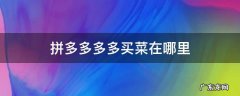 拼多多多多买菜在哪里 拼多多多多买菜在哪里找到