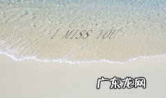 missing you是什么意思 missyou是什么意思