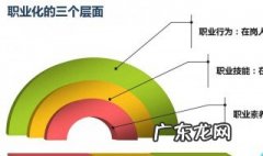 什么是职业化 什么是职业化技能