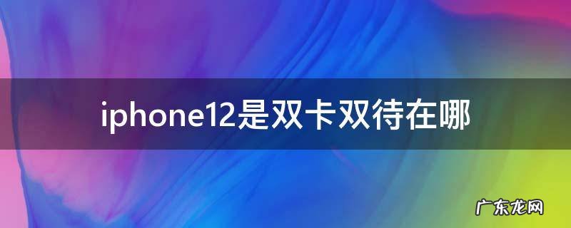 iphone11双卡双待在哪里 iphone12是双卡双待在哪