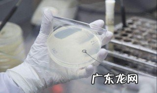 鱼缸如何培养硝化细菌 如何培养硝化细菌