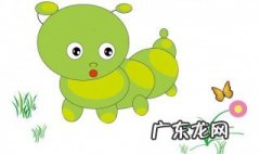 臭虫怎么杀 如何除臭虫