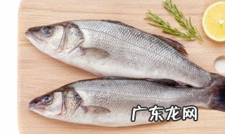 春天钓鱼技巧 春天钓鱼技巧野钓鲫鱼位置