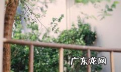 洛阳亲友如相问 洛阳亲友如相问,一片冰心在玉壶翻译