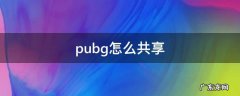 pubg怎么共享 pubg怎么共享动作