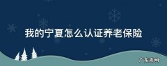 我的宁夏怎么认证养老保险 怎么在我的宁夏上面认证养老保险呢