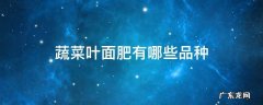 蔬菜叶面肥有哪些品种 叶类蔬菜施什么肥
