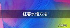 红薯水培方法图片 红薯水培方法