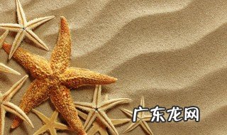 干海星怎么吃 干海星怎么吃法视频