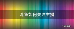 斗鱼如何特别关注主播 斗鱼如何关注主播